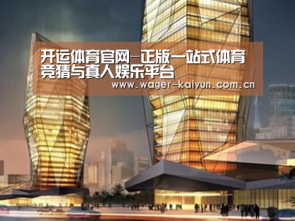 案例展示三