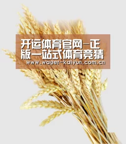 开运体育官网-正版一站式体育竞猜与真人娱乐平台