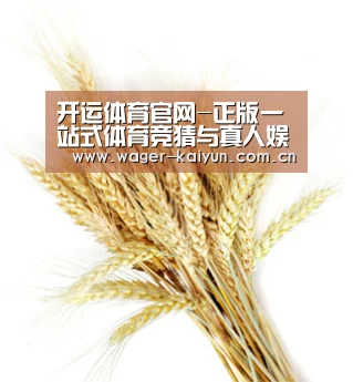 开运体育官网-正版一站式体育竞猜与真人娱乐平台