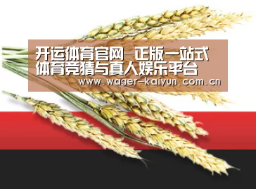 开运体育官网-正版一站式体育竞猜与真人娱乐平台